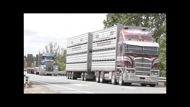 43 Kenworth Trucks on the Road around New Zealand's South Island