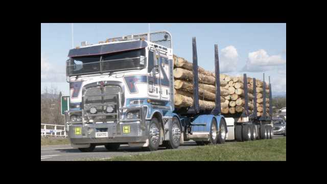11 Kenworth Trucks on Whakatu Drive in Nelson NZ