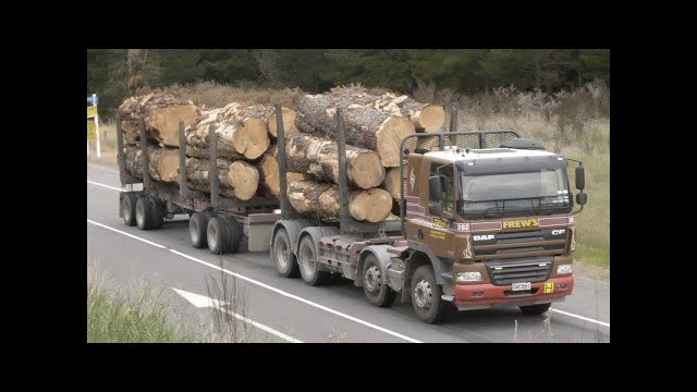 61 DAF Trucks on the Road around New Zealand's South Island