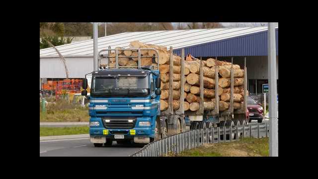 Borlase Transport's 2019 DAF CF 85:510 Log Truck 519