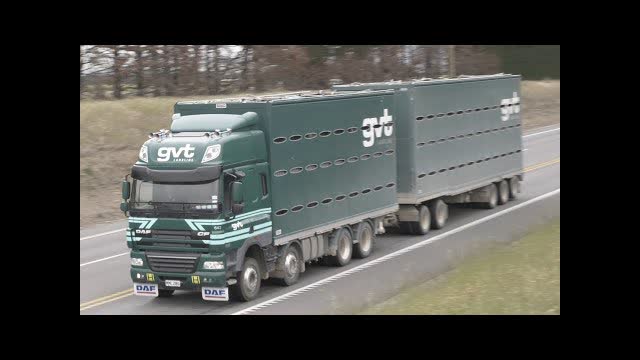 63 DAF Trucks on the Road around New Zealand's South Island